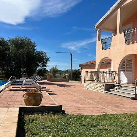 Villa Paludo Novigrad  Esterno foto