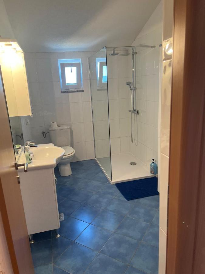 Villa Paludo Novigrad  Esterno foto