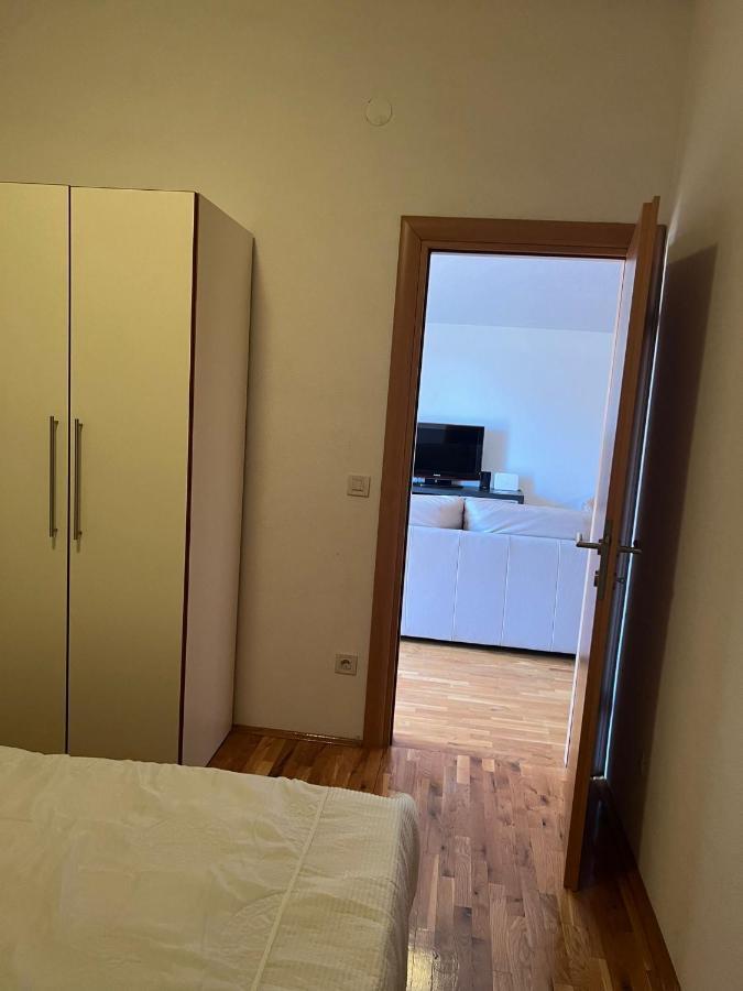 Villa Paludo Novigrad  Esterno foto