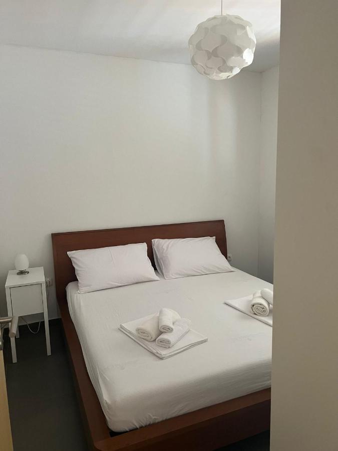 Villa Paludo Novigrad  Esterno foto