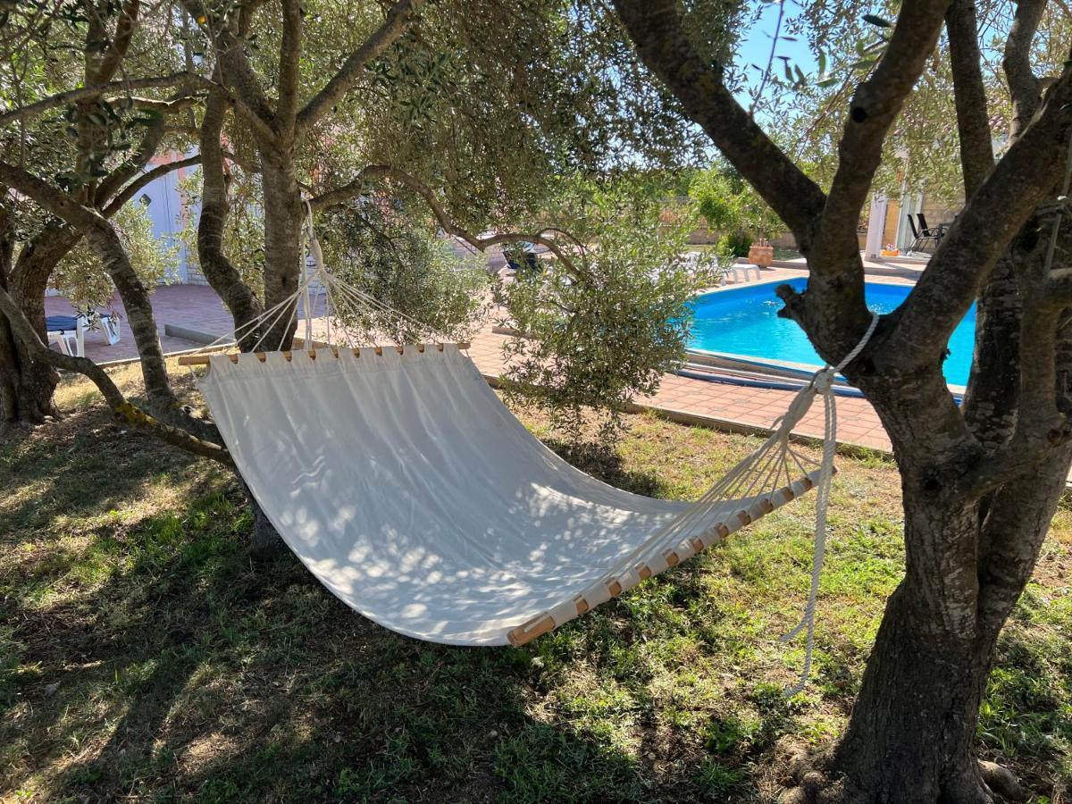 Villa Paludo Novigrad  Esterno foto