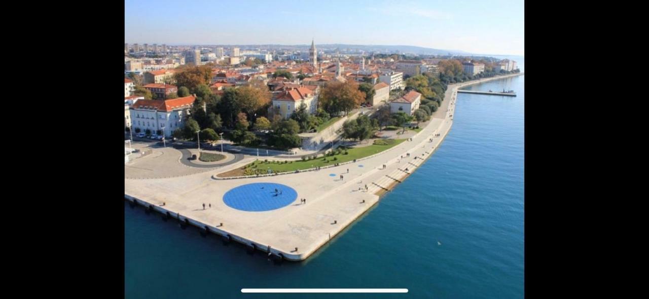 Villa Paludo Novigrad  Esterno foto